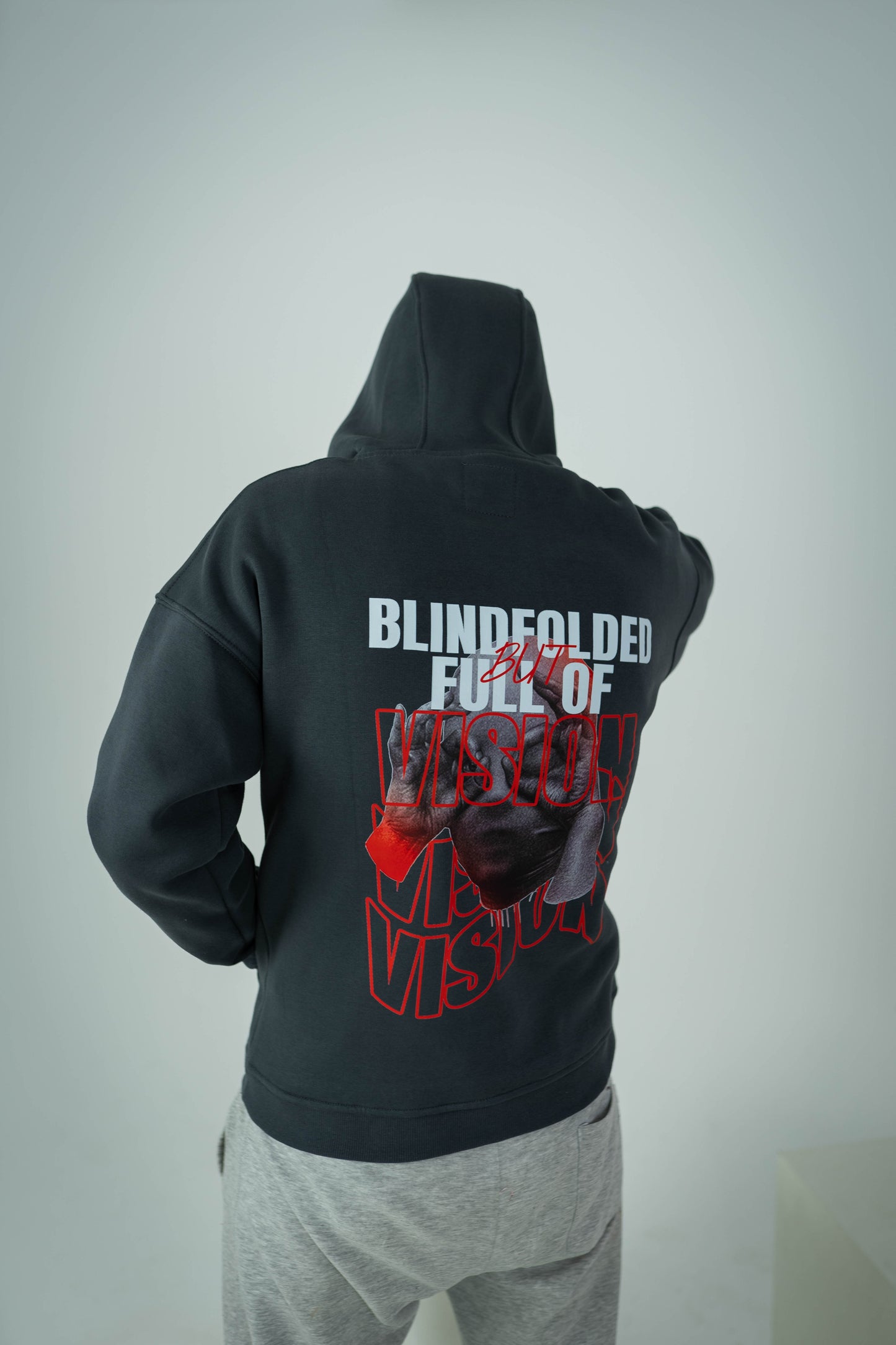 BLINDFOLDED BUT FULL OF VISION HOODIE